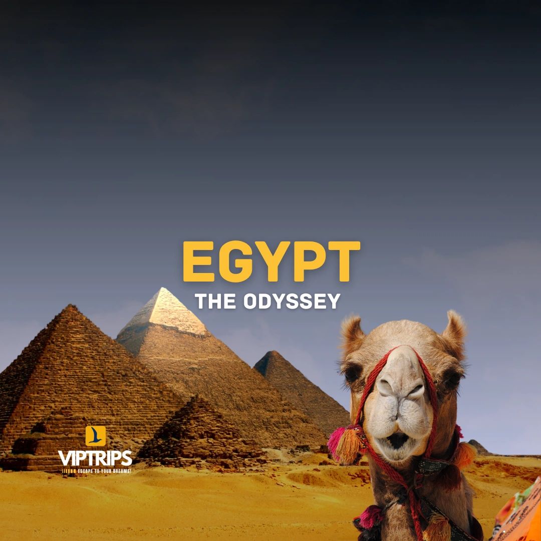 Egypt — The Odyssey, VIPTrips tour cover
